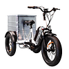 alubox-groesse-xl-basketbike-elektro-dreirad-lastenfahrrad