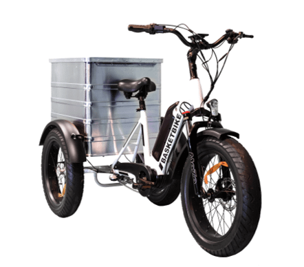 Boîte de transport taille XL pour Basketbike Tricycle électrique