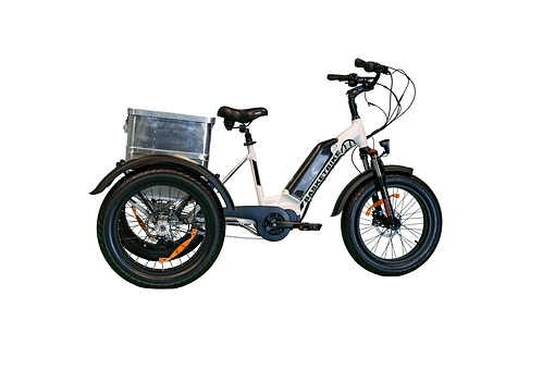 transportbox-groesse-l-basketbike