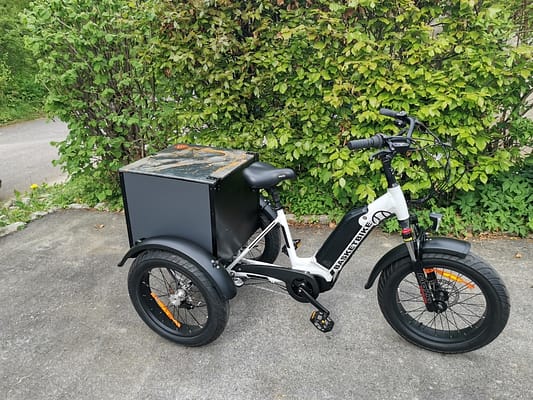 elektro-dreirad-mit-gepaeckbox